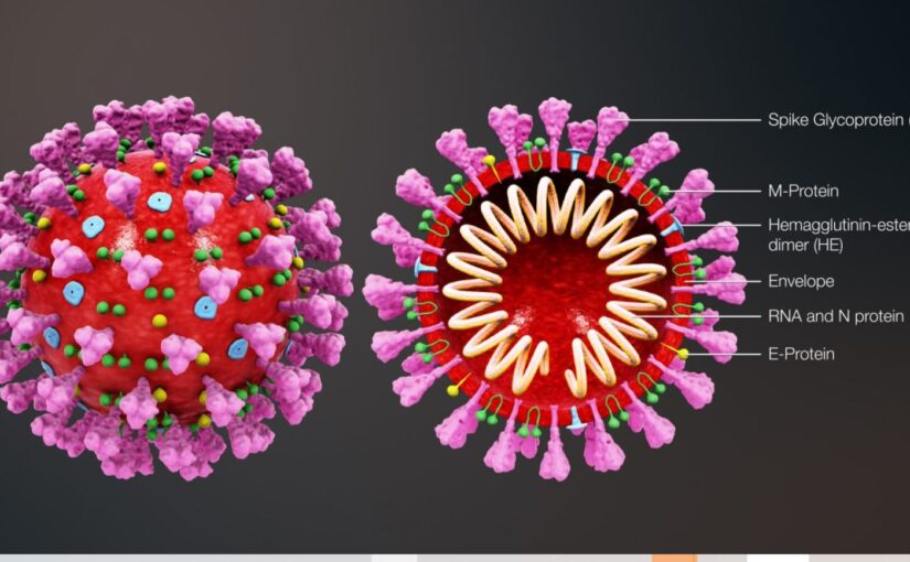 Тайна коронавируса. Причины пандемии