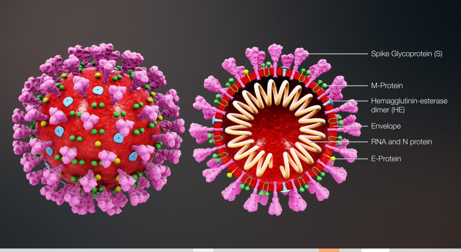 Тайна коронавируса. Причины пандемии